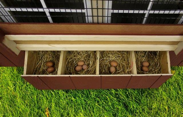 EZ-Fit Chicken Coop Kits