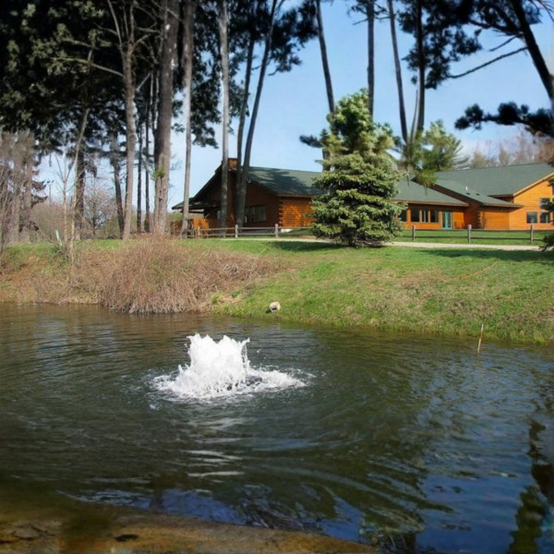 Scott Aerator Boilermaker for Small, Residential Ponds ¾ hp 230 volts