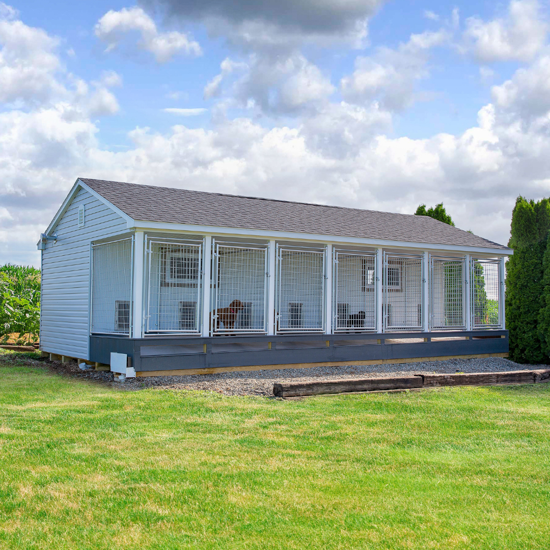 Bierd in Hand 14×28 7-Run Commercial Kennel