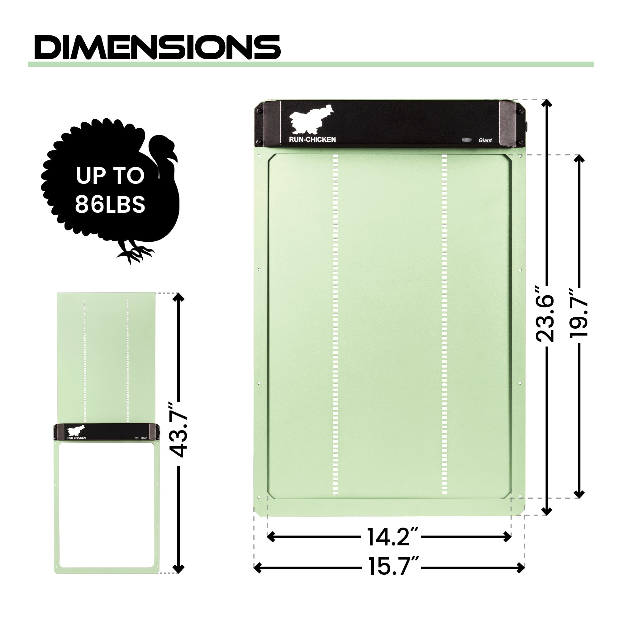 RUN-CHICKEN Giant - Mint