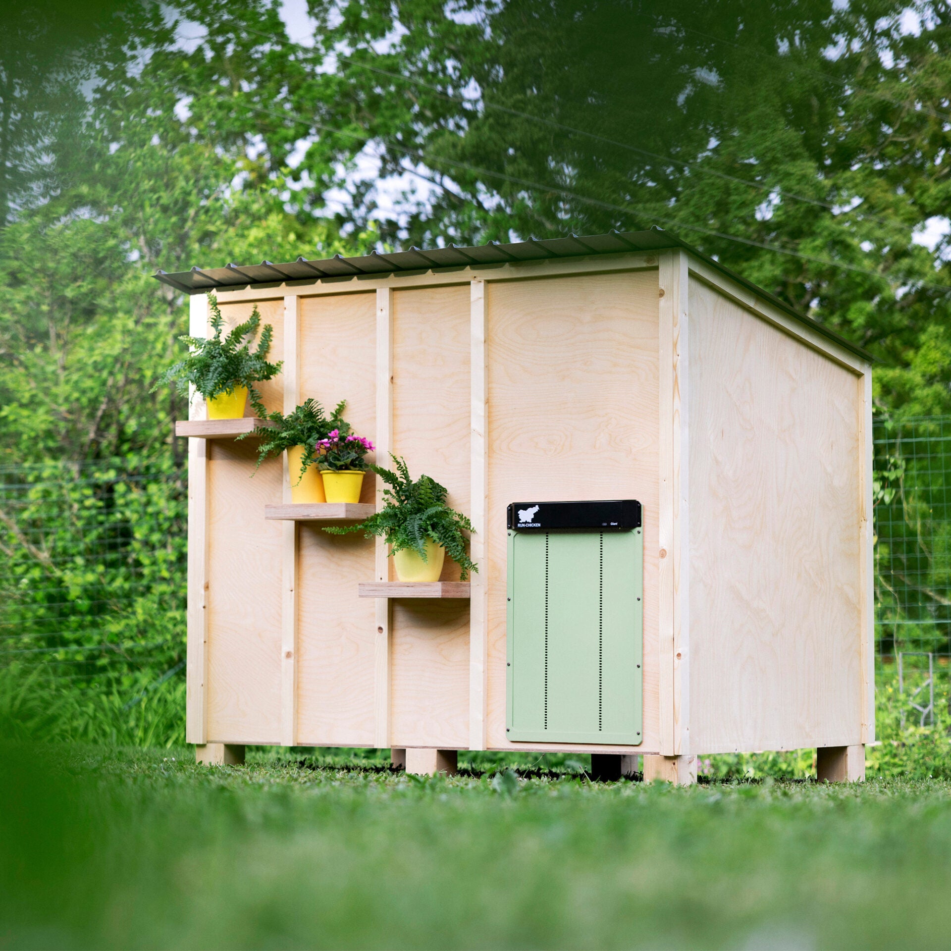 RUN-CHICKEN Giant - Grey