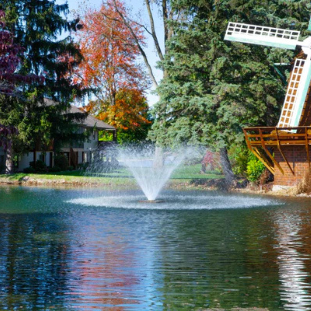 Pond & Water Garden