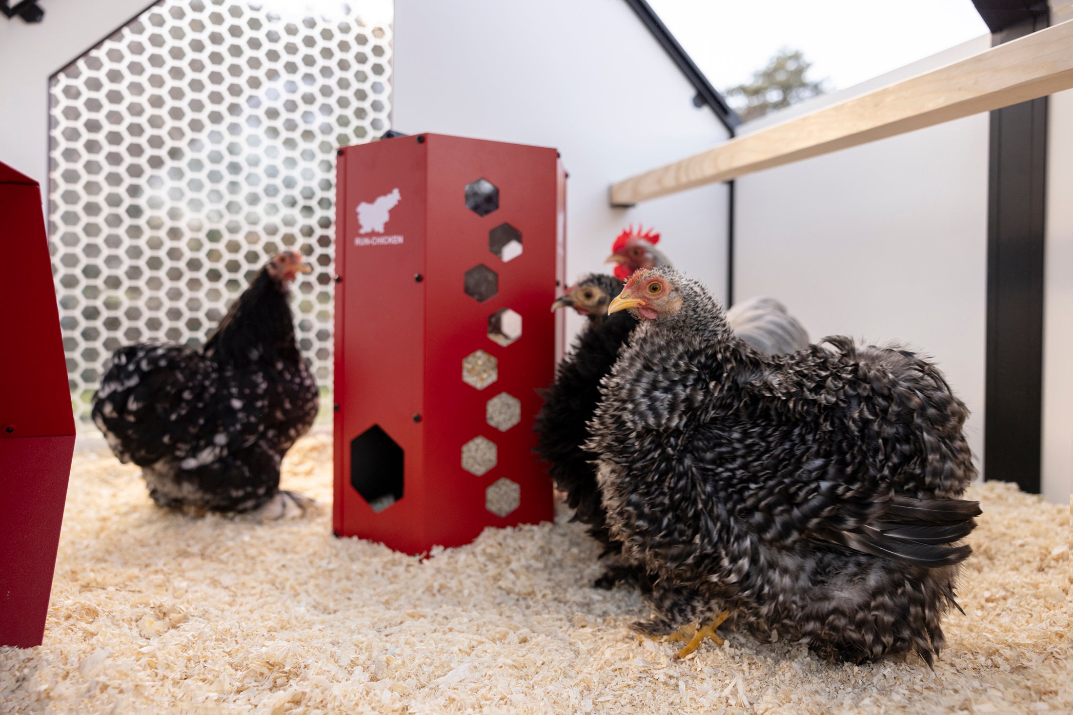 RUN-CHICKEN Villa – Smart Chicken Coop - Brown