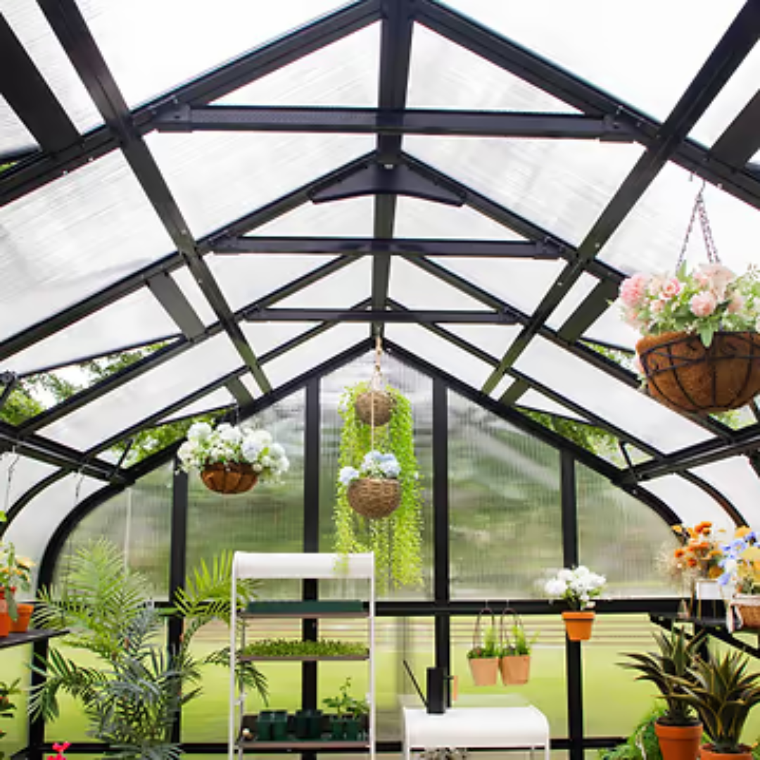Vego Pacific Greenhouse - 10.5ft Wide