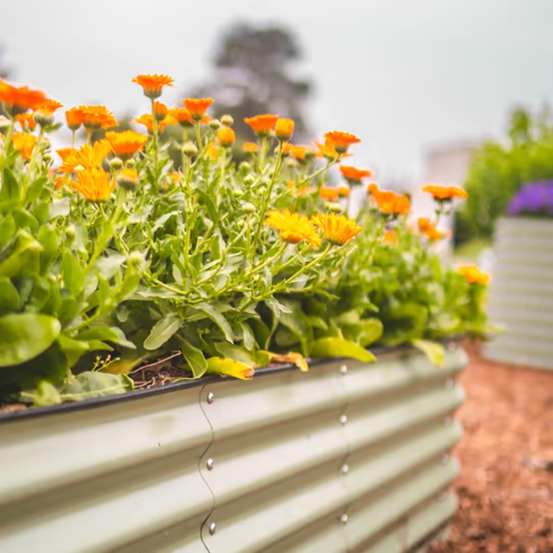 Vego 17" Tall 4 In 1 Small Modular Metal Raised Garden Bed Kit