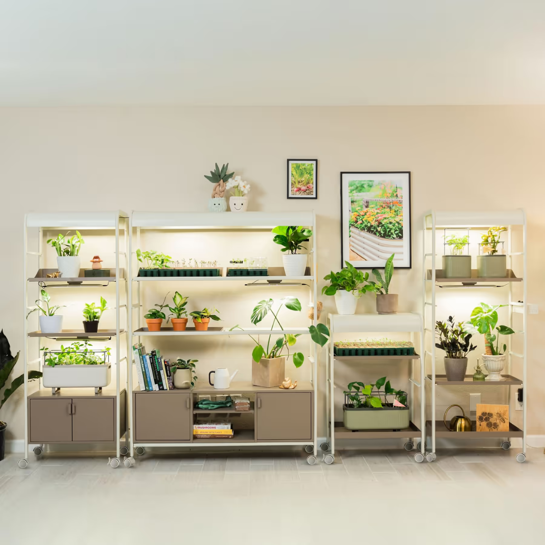 Vego 2 Tier Grow Light Garden