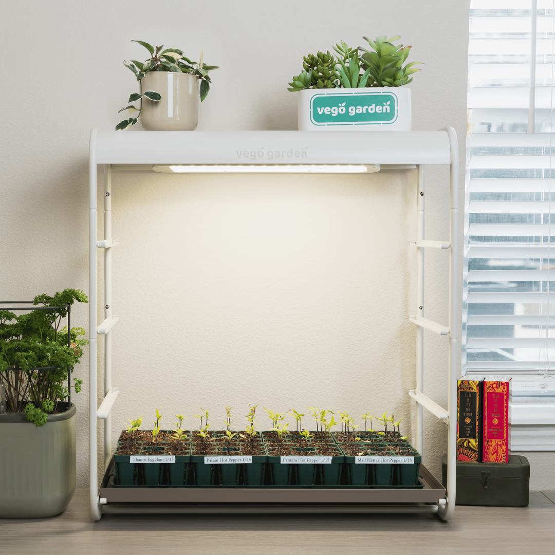 Vego 1 Tier Tabletop Grow Light Garden