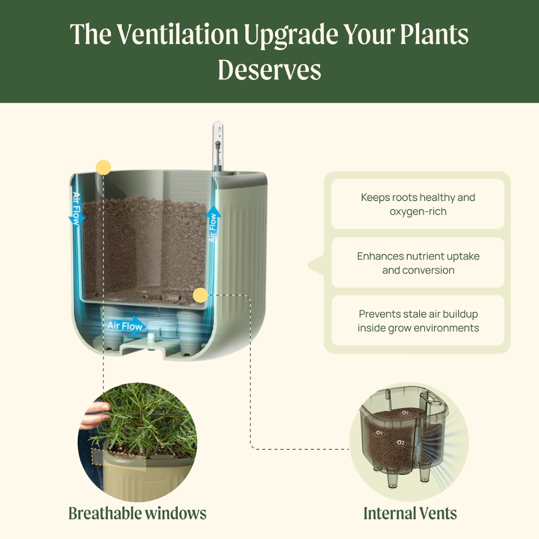 Vego EZ Self-Watering Mini Planter Pot with Trellis