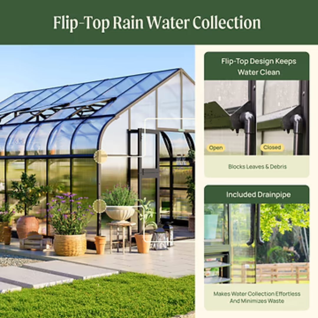Vego Grand Pacific Greenhouse - 12.5ft Wide