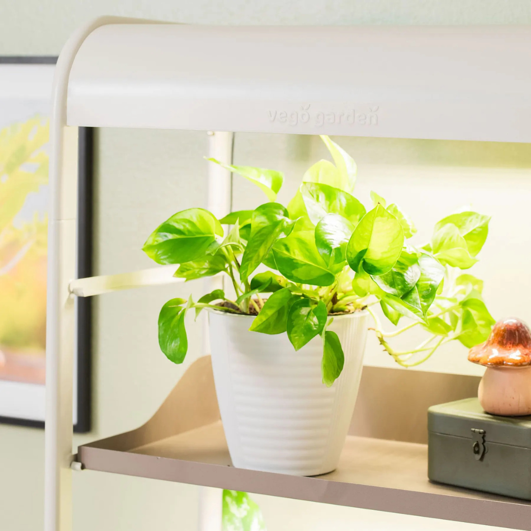 Vego 4 Tier Grow Light Garden Pro