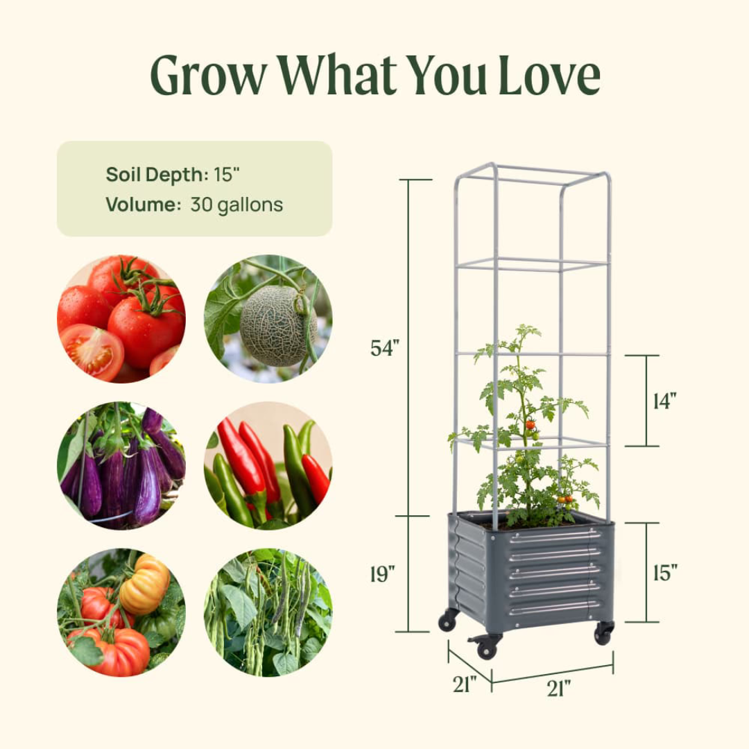 Vego Classic Rolling Cube Tomato Planter