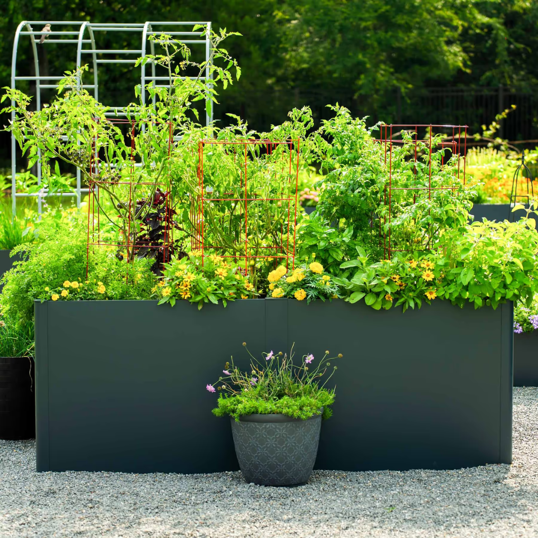 Vego 32" Extra Tall Modern Pro 42" x 83" Metal Raised Garden Bed