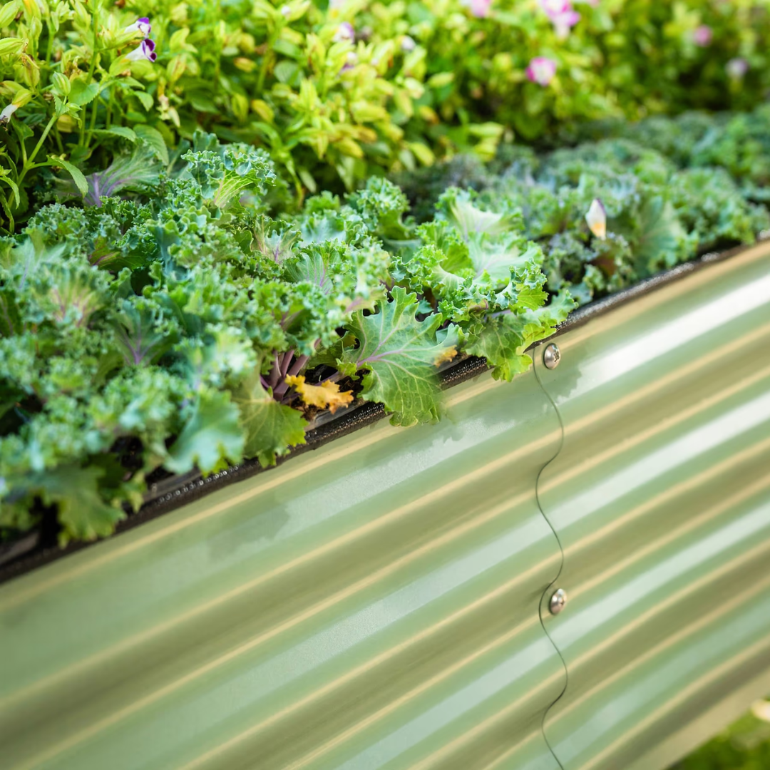 Vego Elevated Garden Bed - 2' x 8'