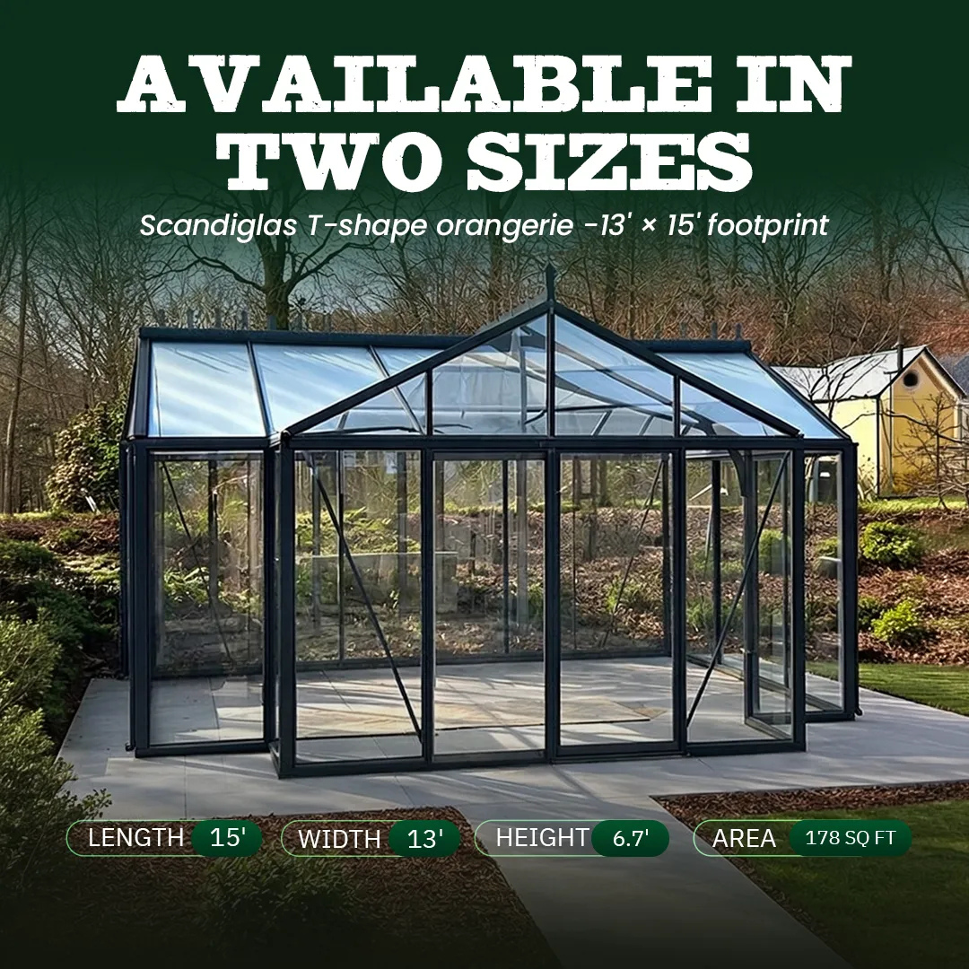 YourGreenhouses Scandiglas T-Shape Orangerie