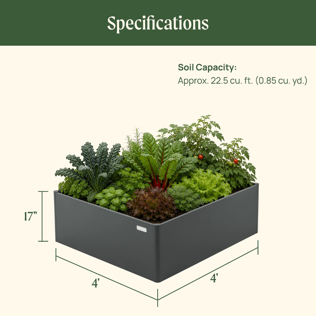 Vego 17" Tall Modern 4' x 4' Metal Raised Garden Bed