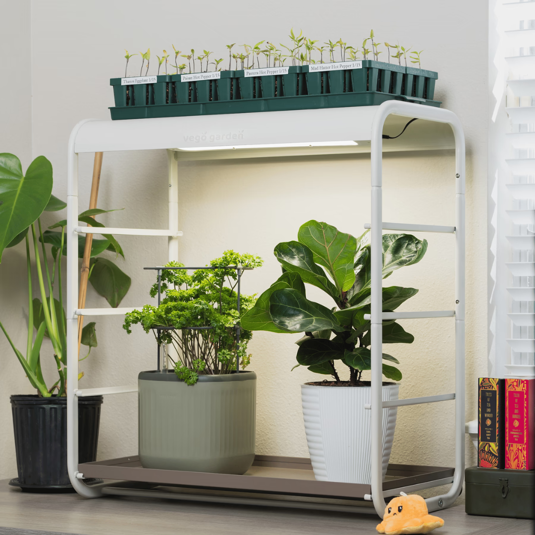 Vego 1 Tier Tabletop Grow Light Garden