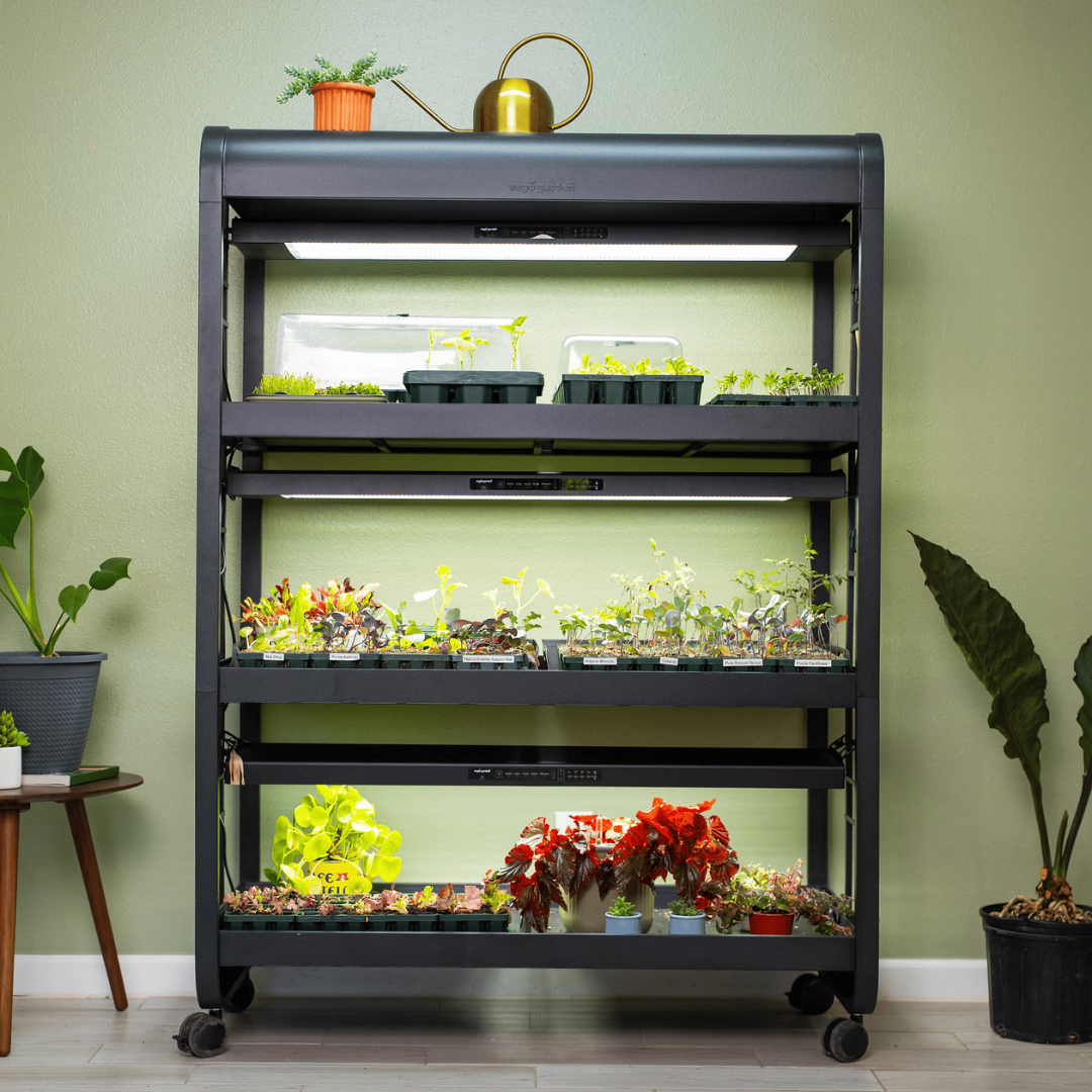 Vego Ultimate Grow Light Garden