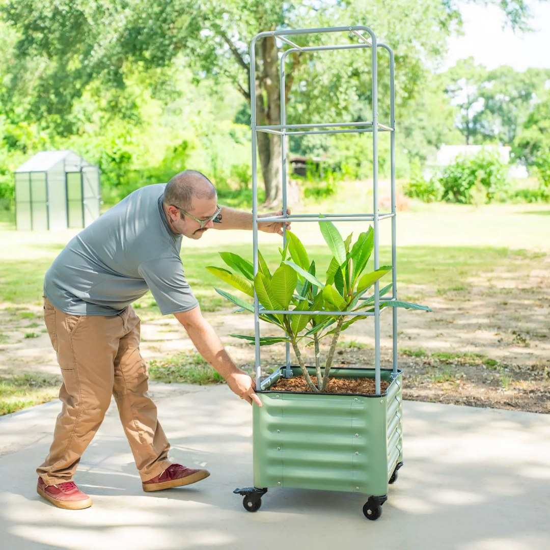 Vego Classic Rolling Cube Tomato Planter