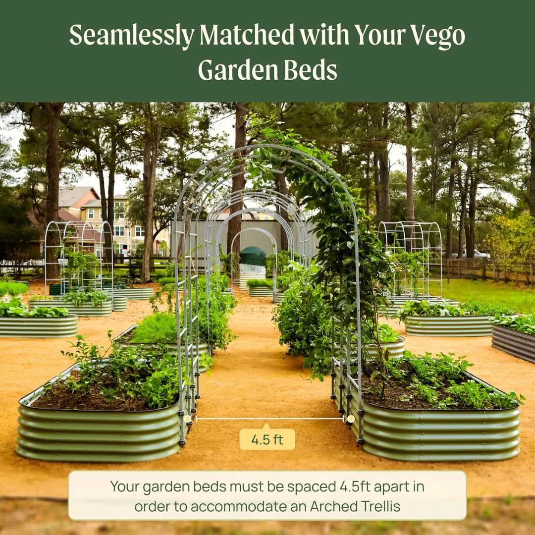 Vego Arched Trellis System