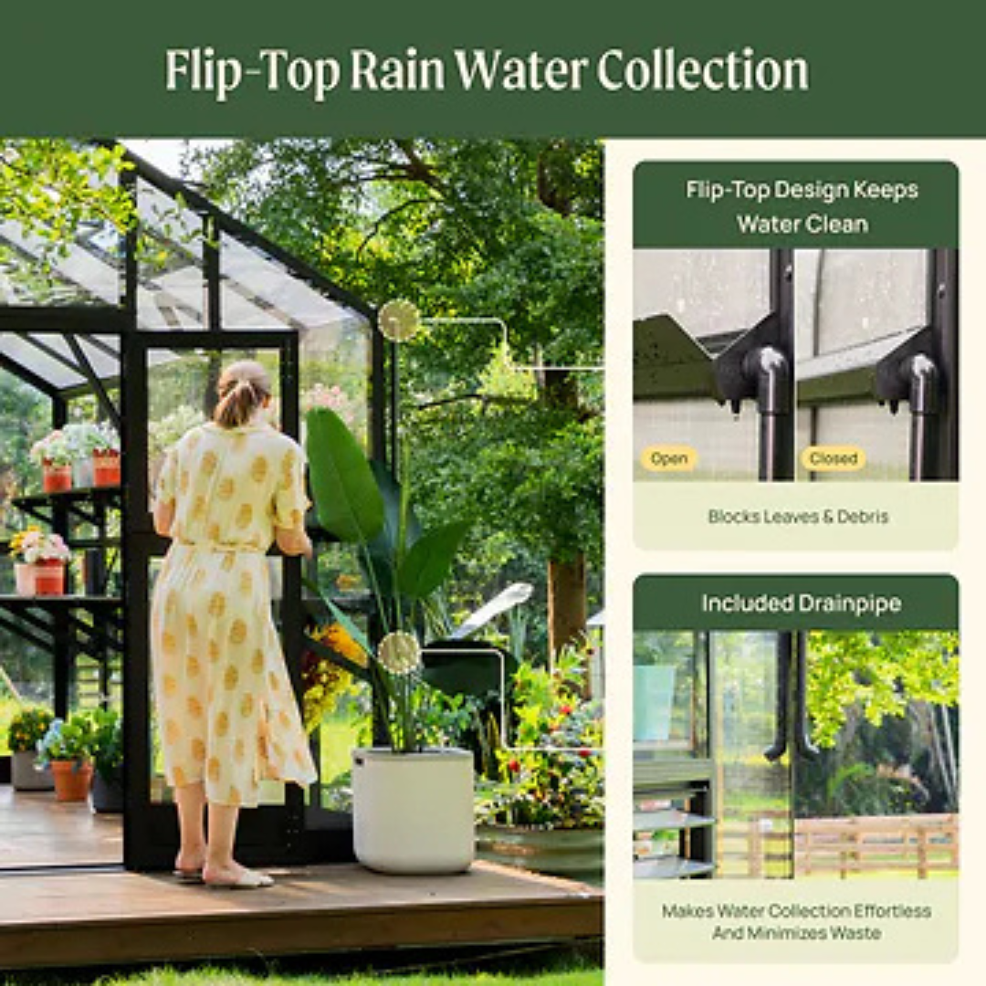 Vego Victorian Greenhouse - 10.5ft Wide