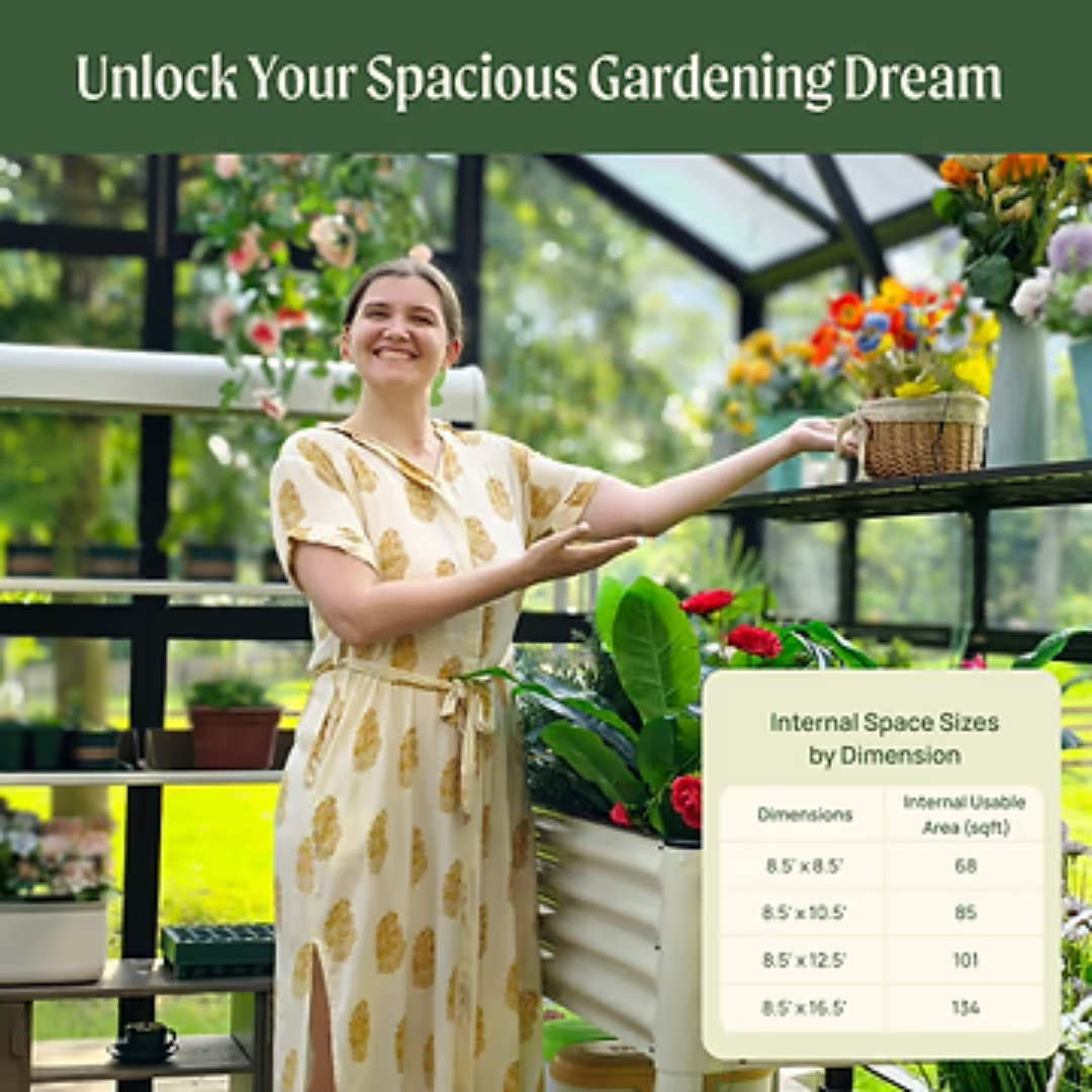 Vego Victorian Greenhouse - 8.5ft Wide