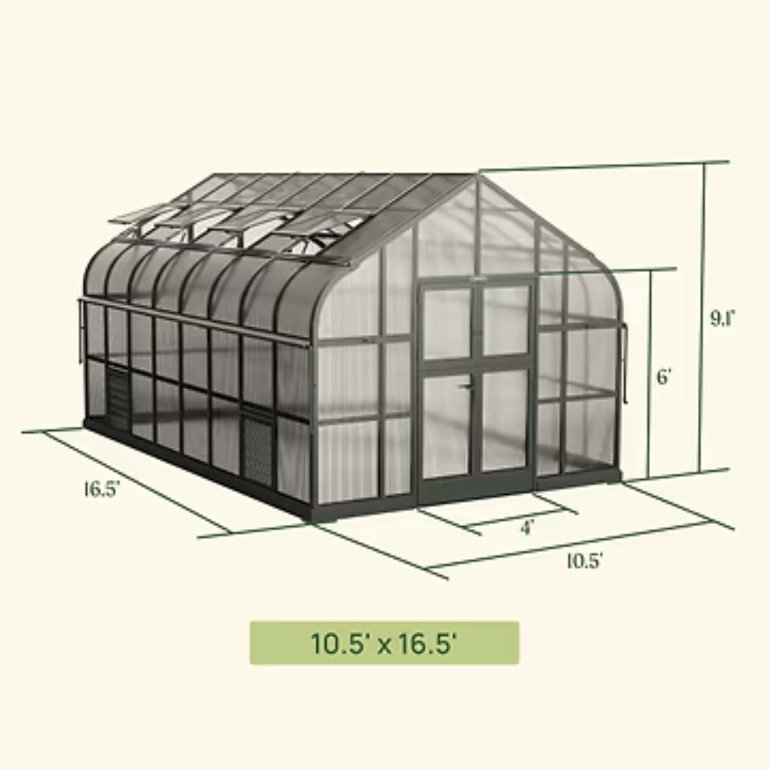 Vego Pacific Greenhouse - 10.5ft Wide