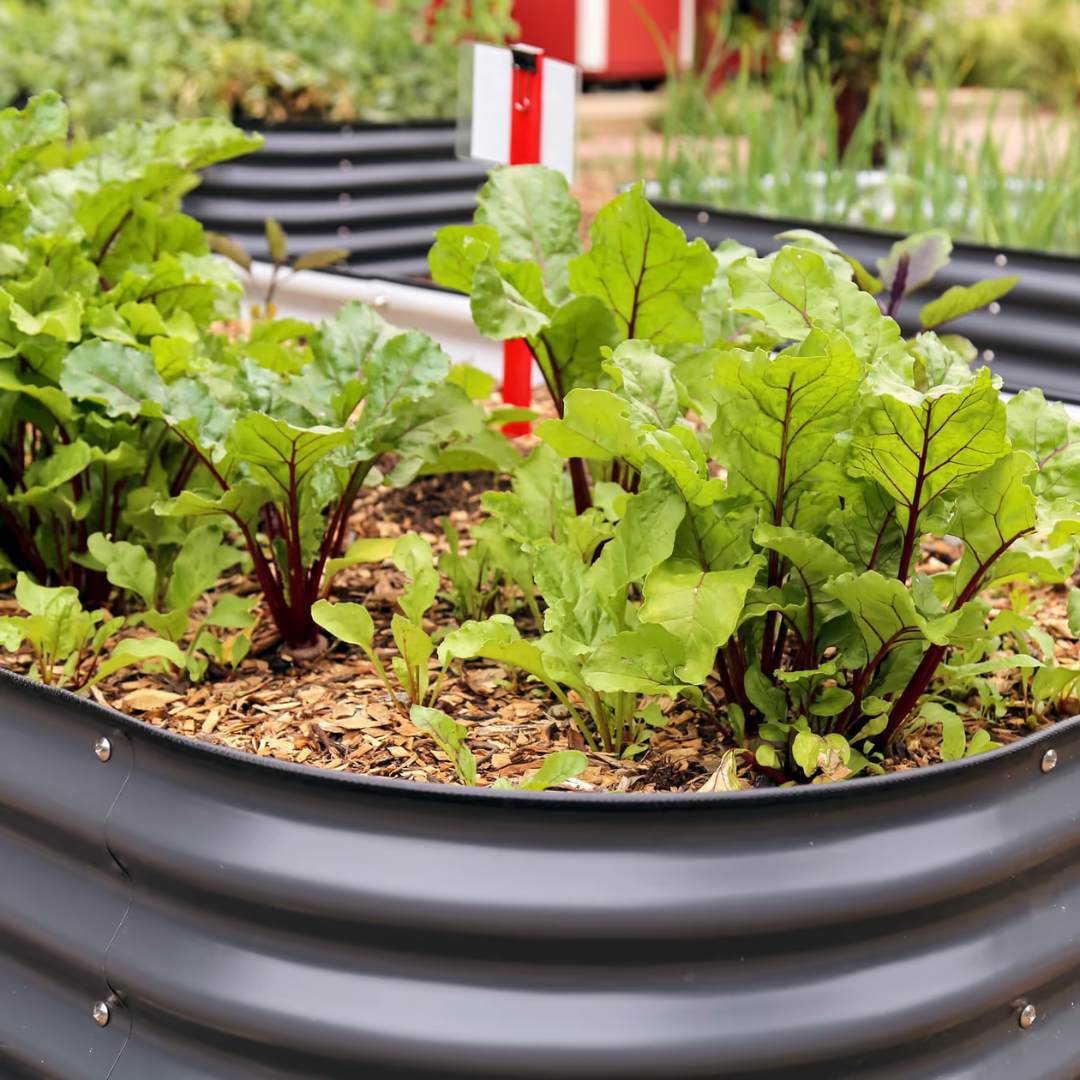 Vego 26" Tall 10 In 1 Jumbo Modular Metal Raised Garden Bed Kit
