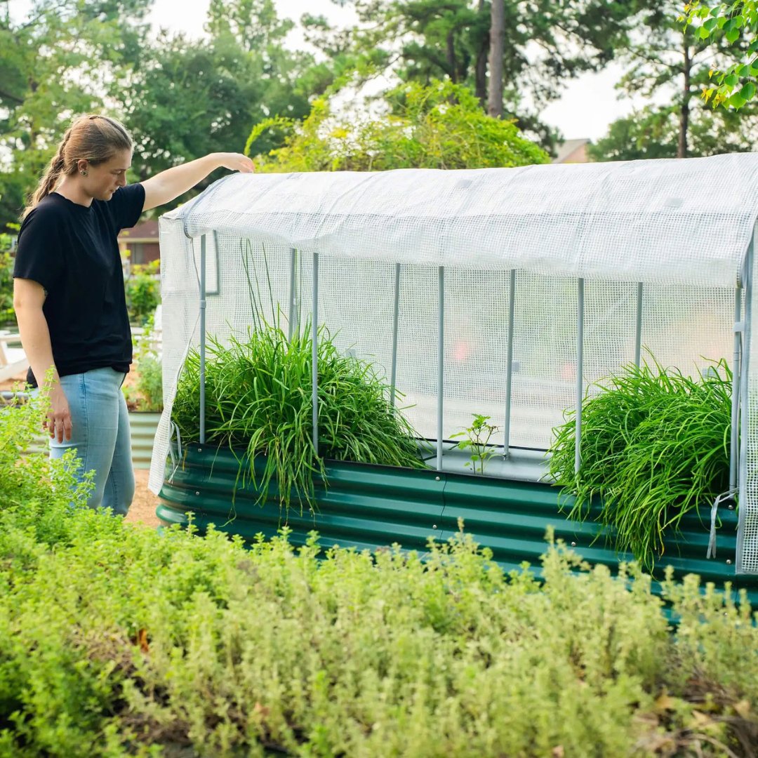 Vego Greenhouse Frost Cover