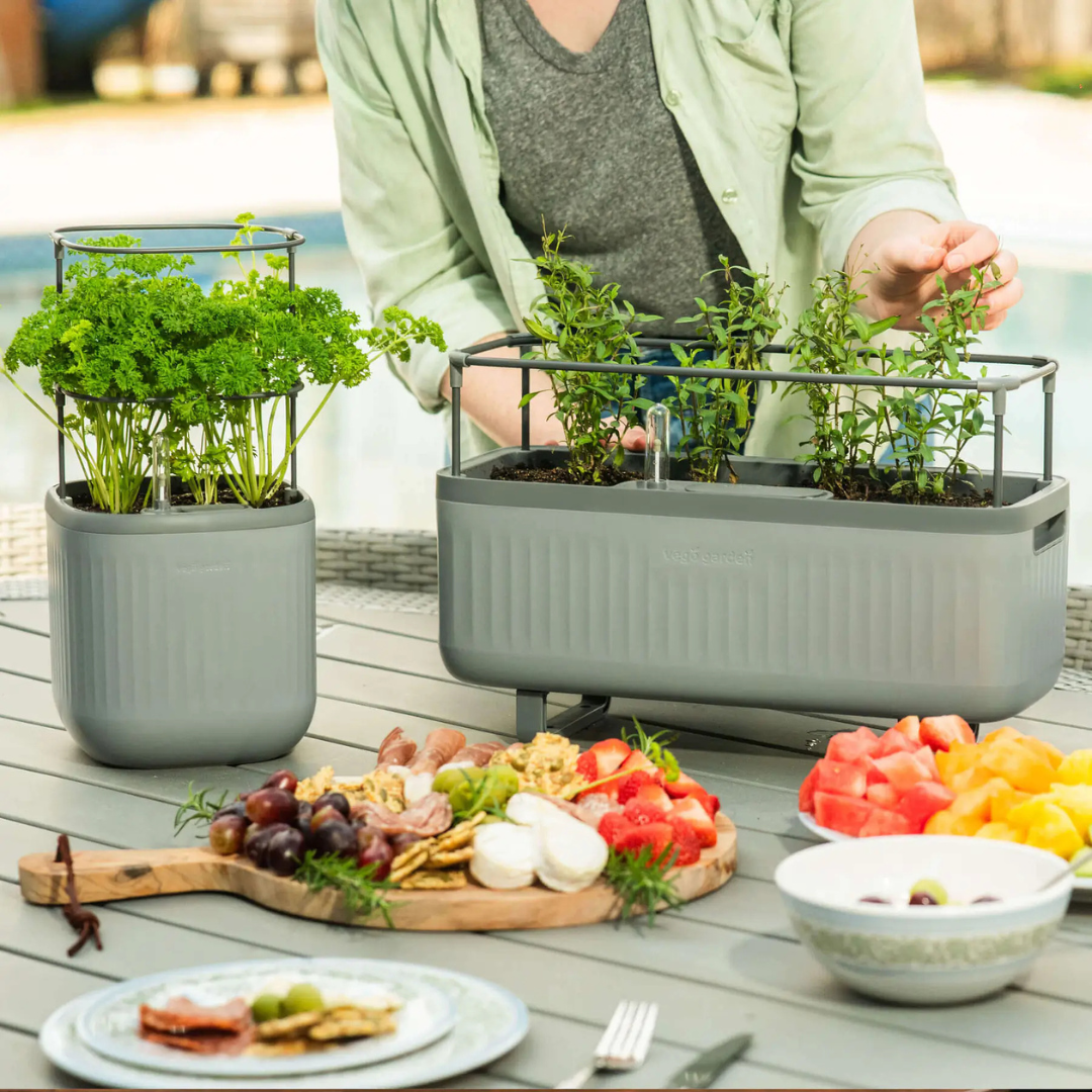 Vego EZ Self-Watering Mini Planter Pot with Trellis