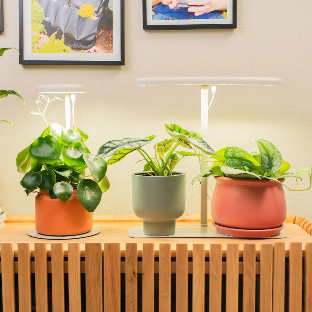Vego Grow Light Stand - Mini