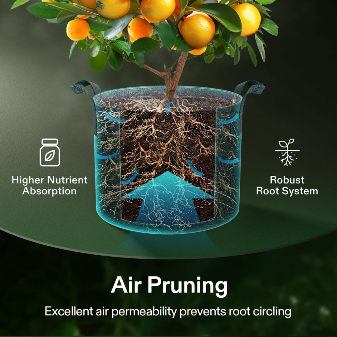 Vivosun Gallon Grow Bags 5-Pack Black Thickened Nonwoven Fabric Pots with Handles, Multi-Purpose Rings $18.99