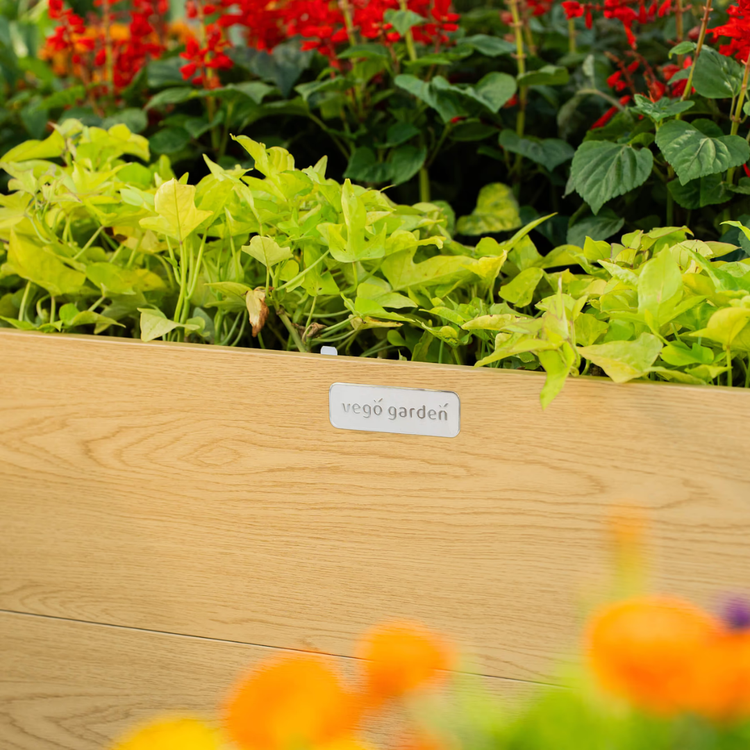Vego 16" Tall Woodgrain 8' x 8' U-Shaped Metal Raised Garden Bed