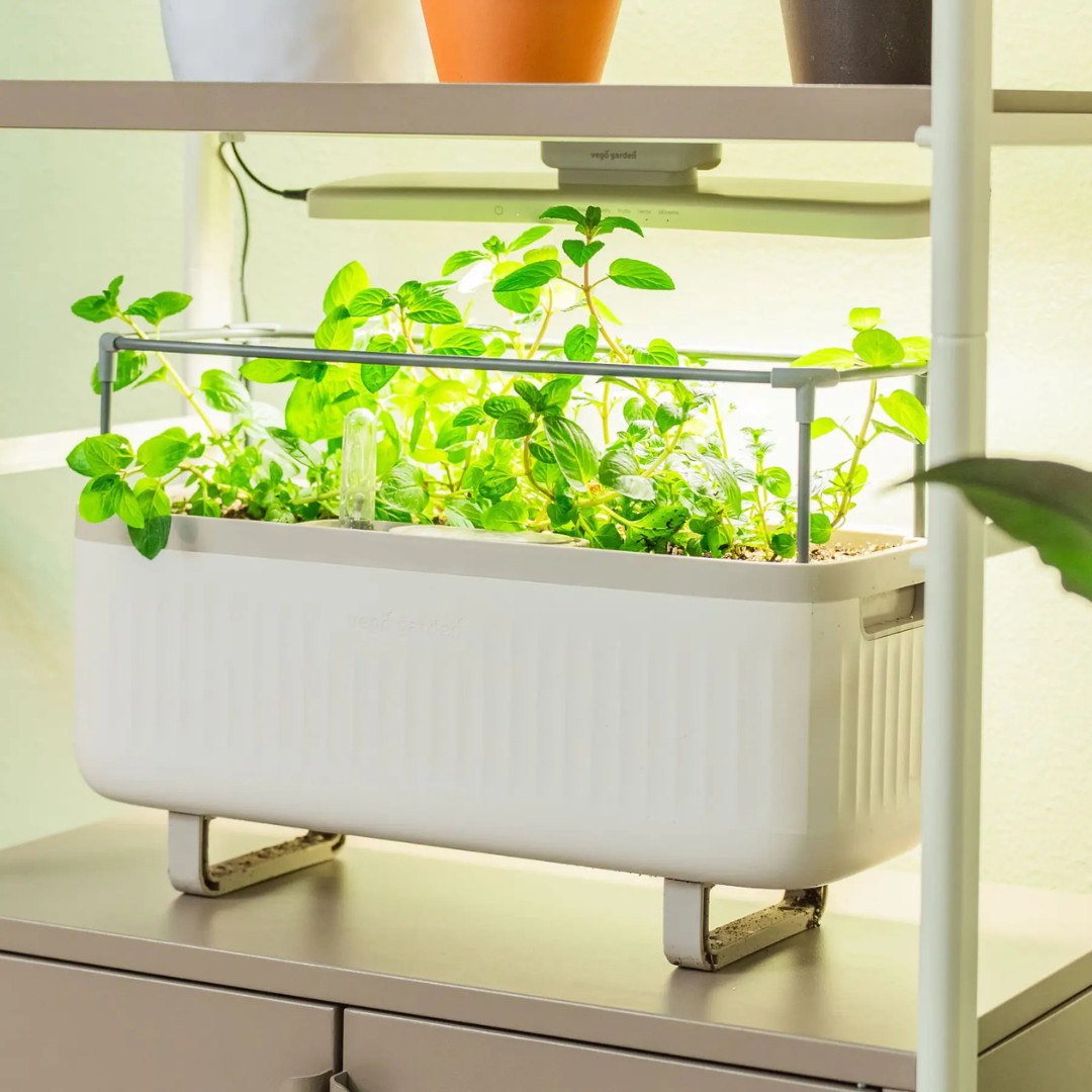 Vego Classic Grow Light
