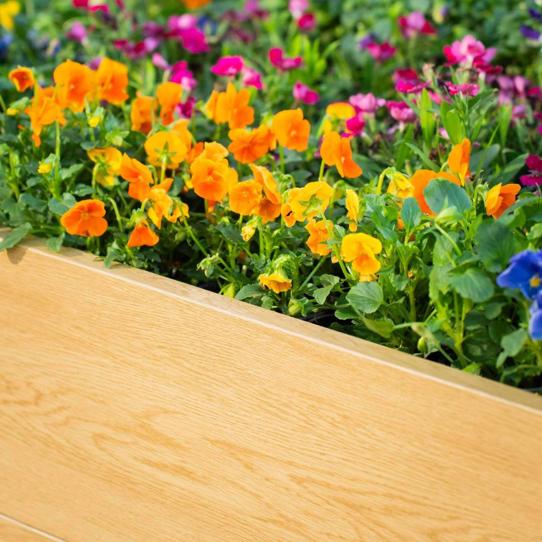 Vego 16" Tall Woodgrain 4' x 4' Metal Raised Garden Bed
