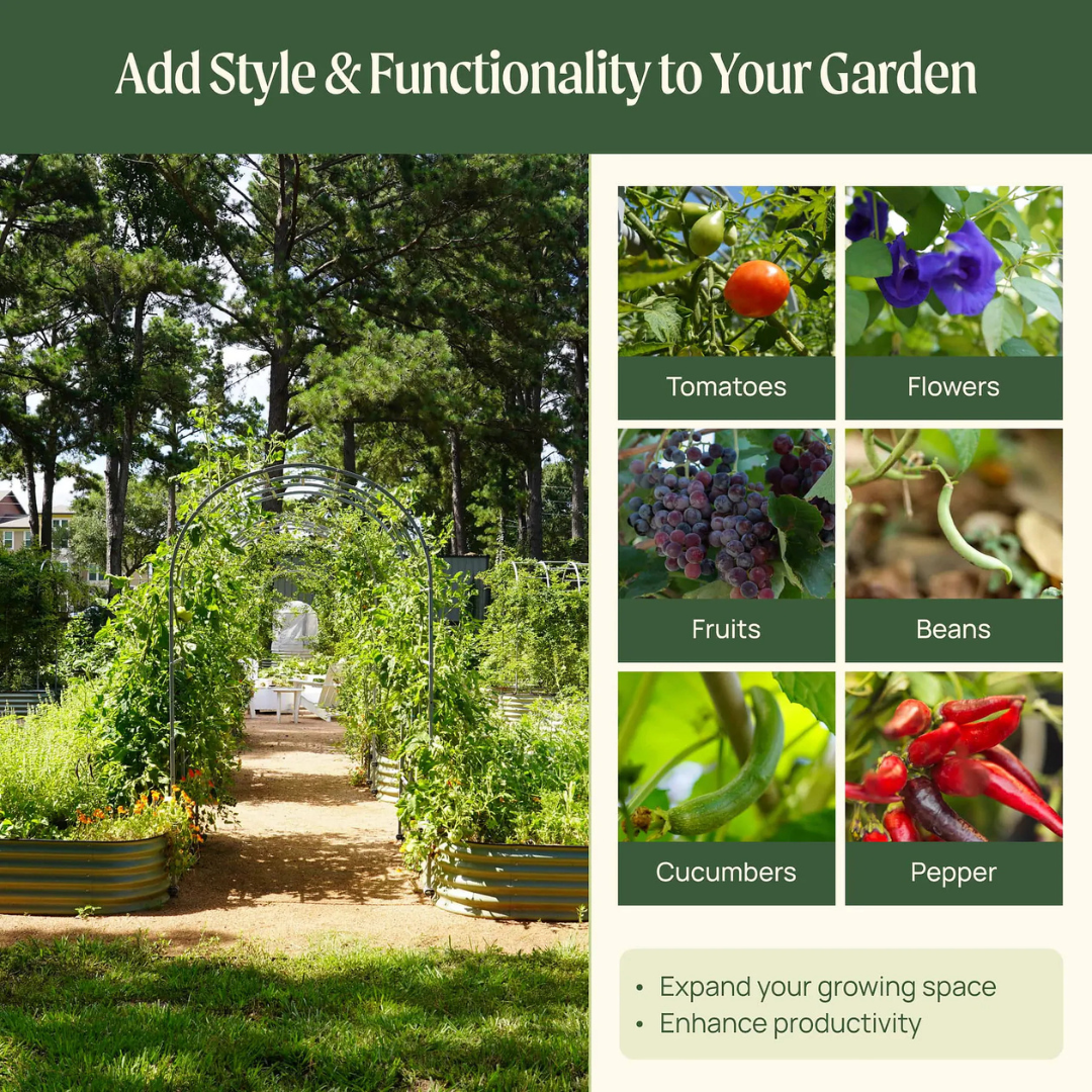Vego Arched Trellis System