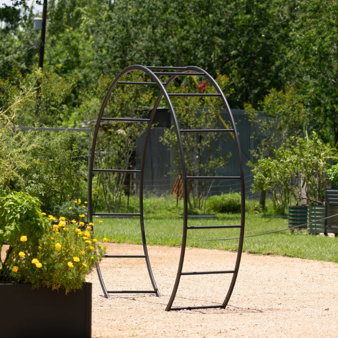 Vego Moon Gate