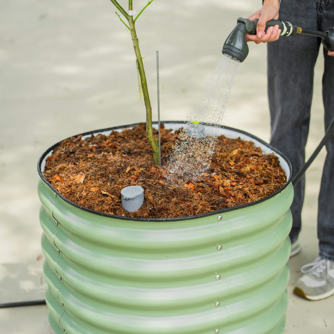 Vego Self-Watering Rolling Citrus Tree Planter 30 Gallon, 24" Dia. - Gen 3