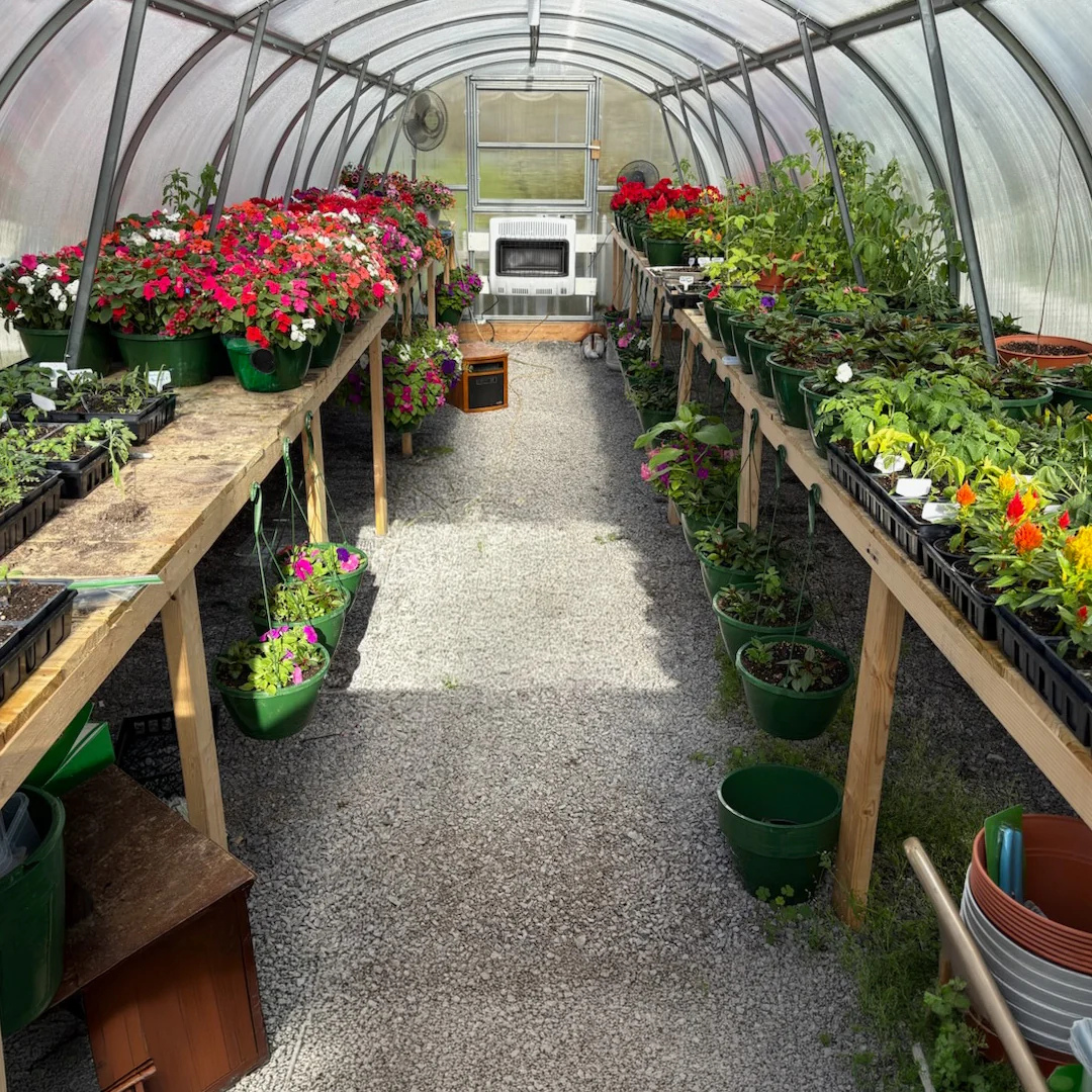 YourGreenHouses World's Most Popular Polycarbonate Greenhouse