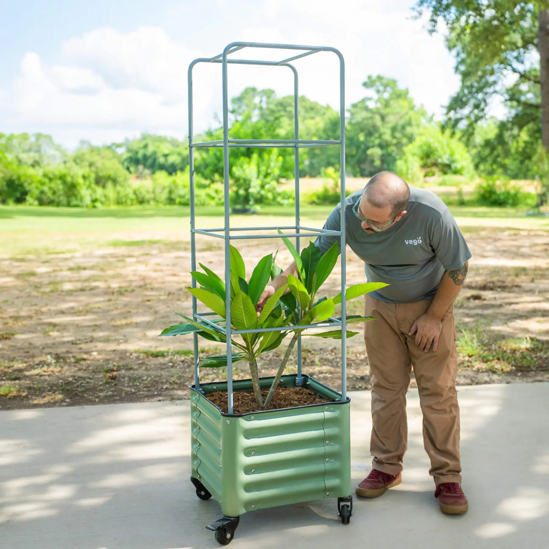 Vego Classic Rolling Cube Tomato Planter