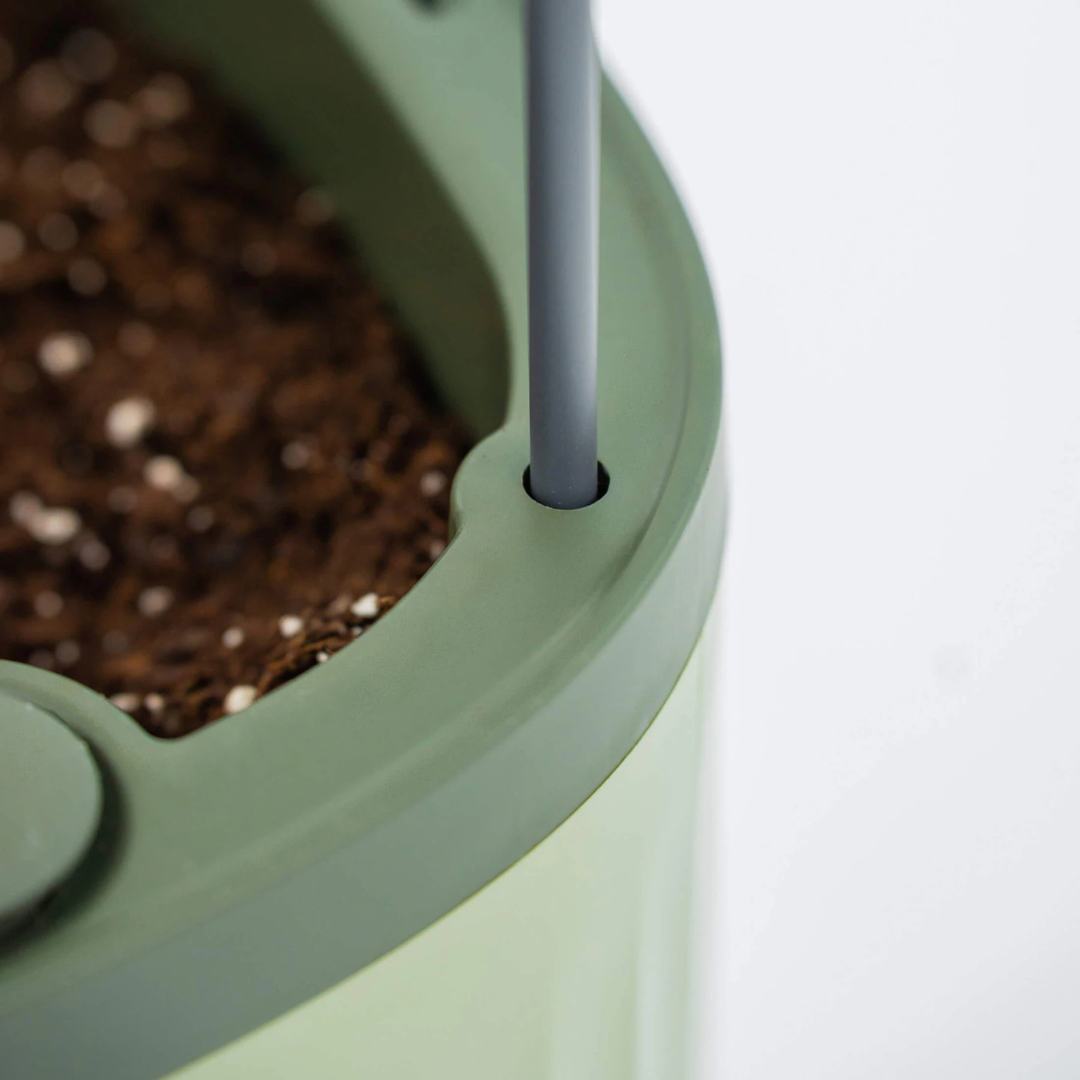 Vego EZ Self-Watering Tomato Planter with Trellis Gen 2