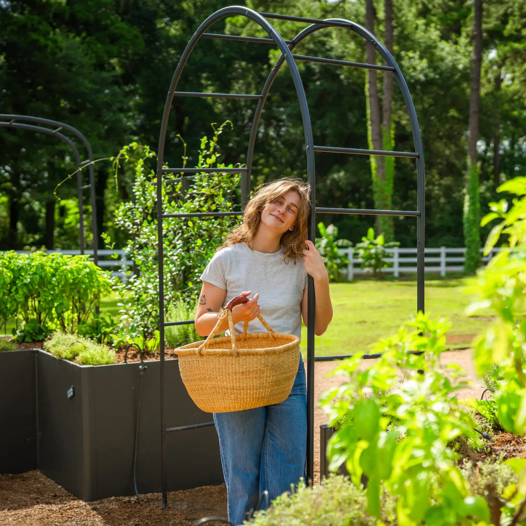 Vego Round Garden Arch - Standard Frame