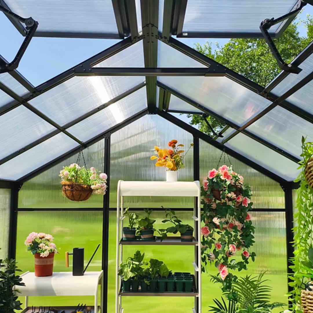 Vego Junior Victorian Greenhouse - 8.0ft Wide