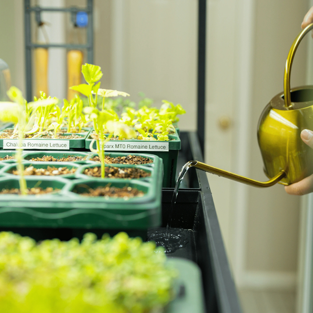 Vego Ultimate Grow Light Garden