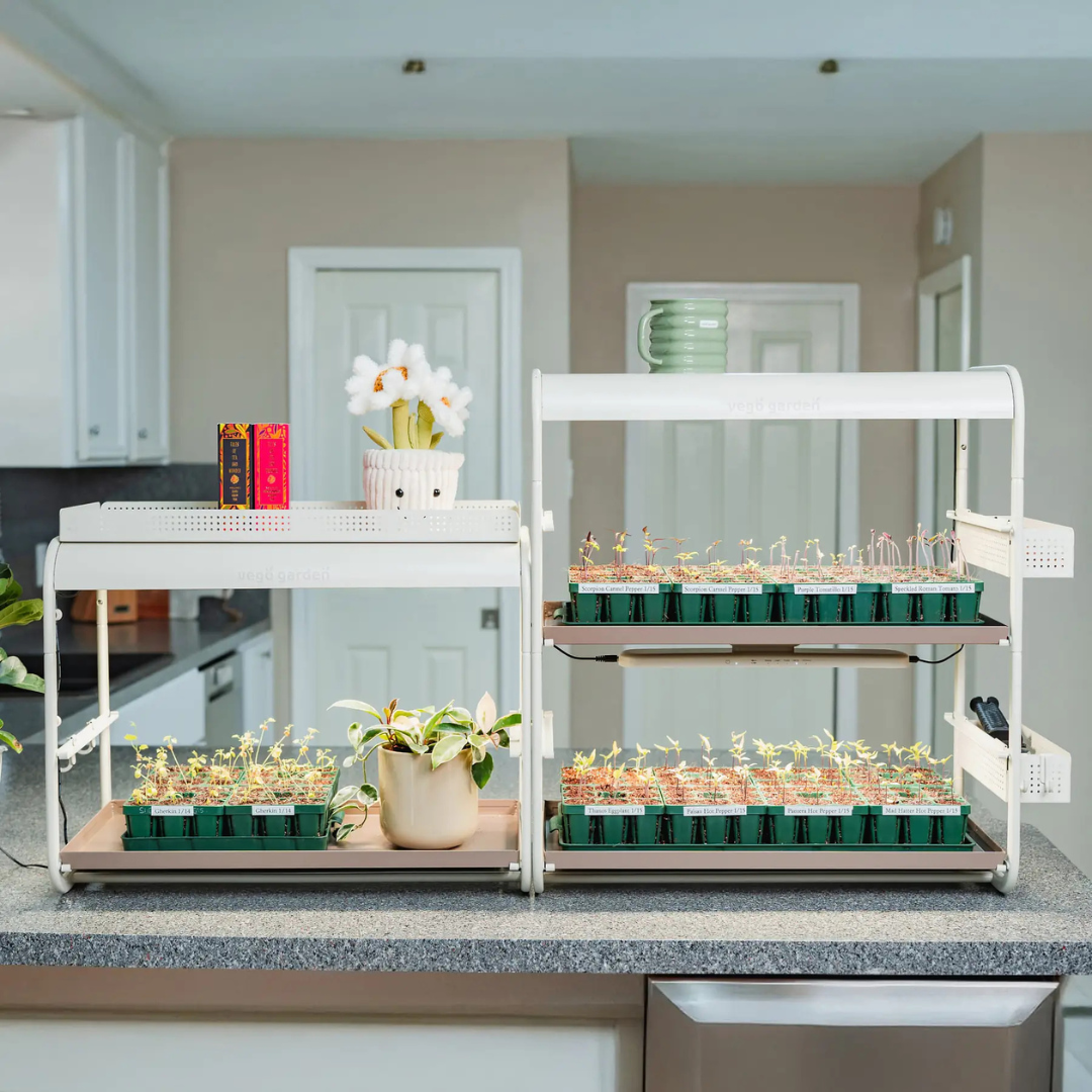 Vego 2 Tier Tabletop Grow Light Garden