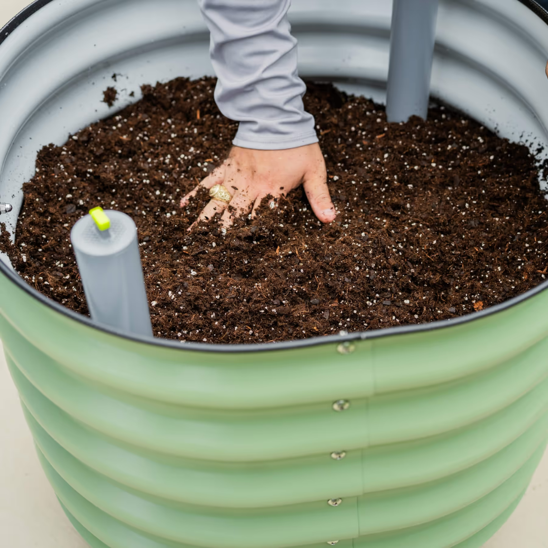 Vego Self-Watering Rolling Citrus Tree Planter 30 Gallon, 24" Dia. - Gen 3