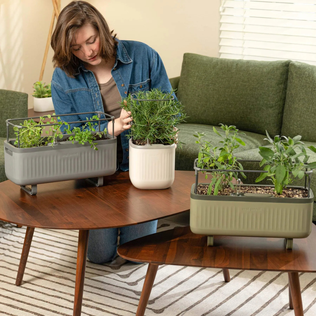 Vego EZ Self-Watering Mini Planter Pot with Trellis