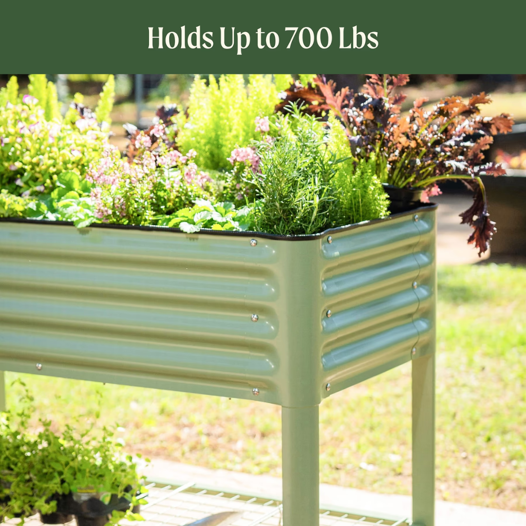 Vego Elevated Garden Bed - 2' x 6'
