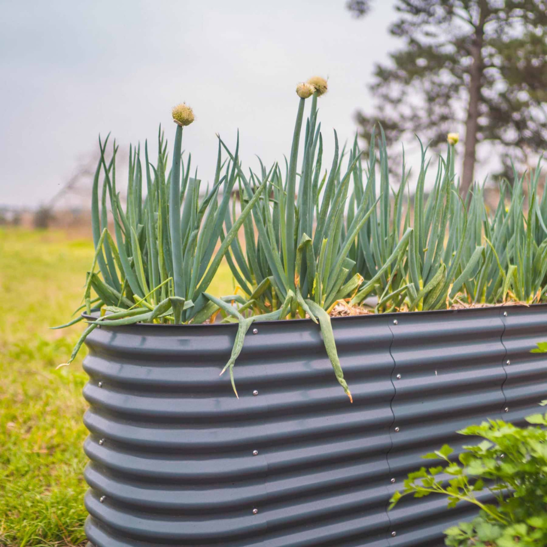 Vego 32" Extra Tall 6 In 1 Medium Modular Metal Raised Garden Bed Kit