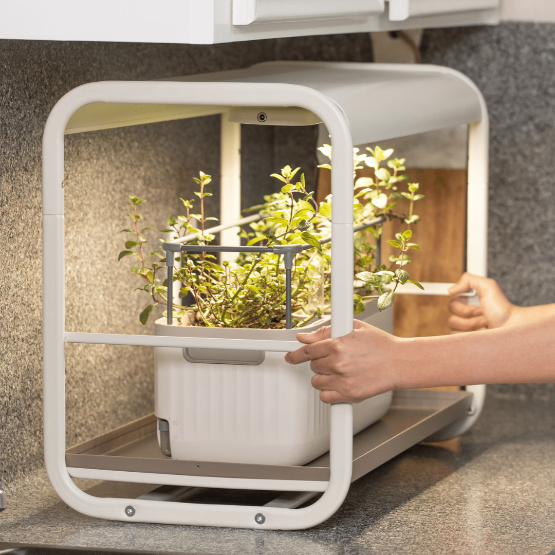 Vego 1 Tier Tabletop Grow Light Garden