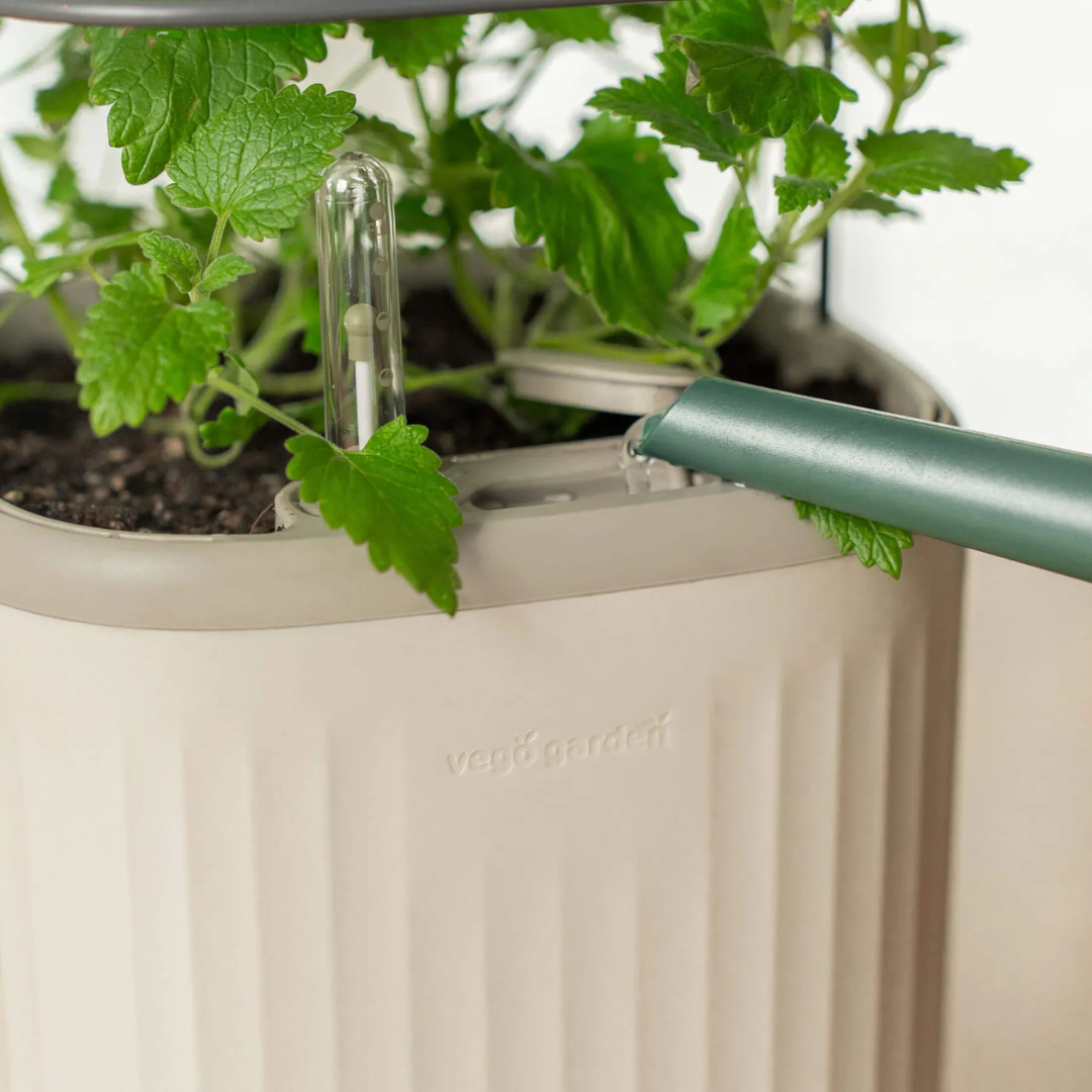 Vego EZ Self-Watering Mini Planter Pot with Trellis